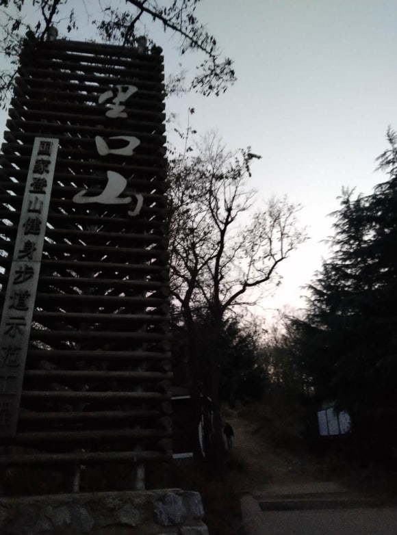 리코여행사 이미지