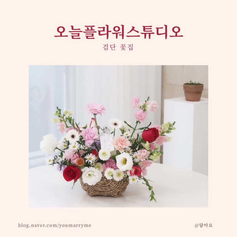 오늘플라워스튜디오검단 이미지