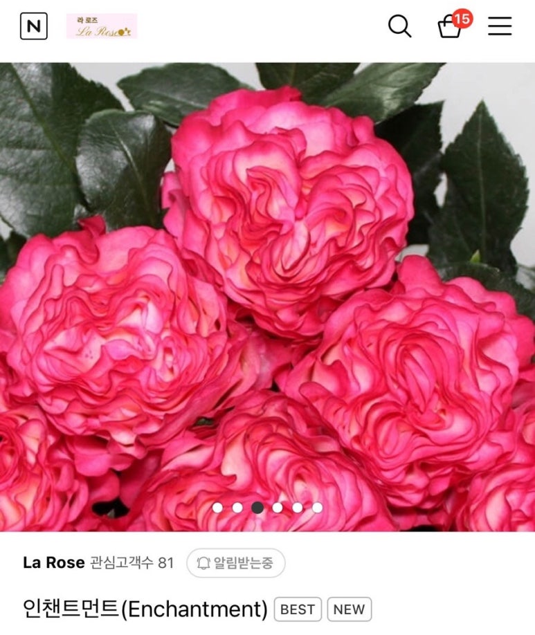 인챈트먼트 이미지