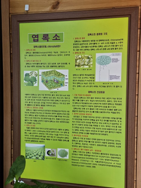 경주보리명가 이미지