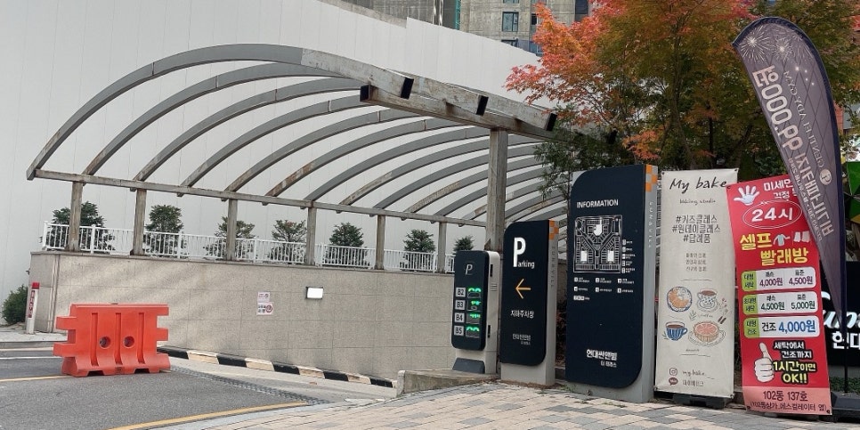 나따오비까X라비타 이미지
