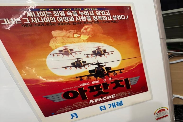 제주돈날개 이미지
