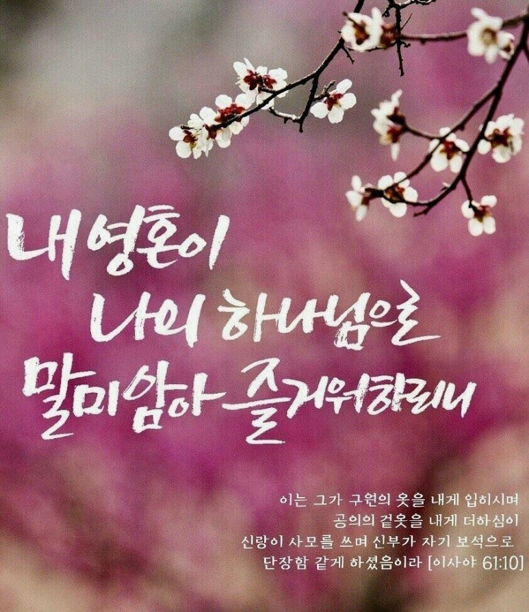 인리 이미지