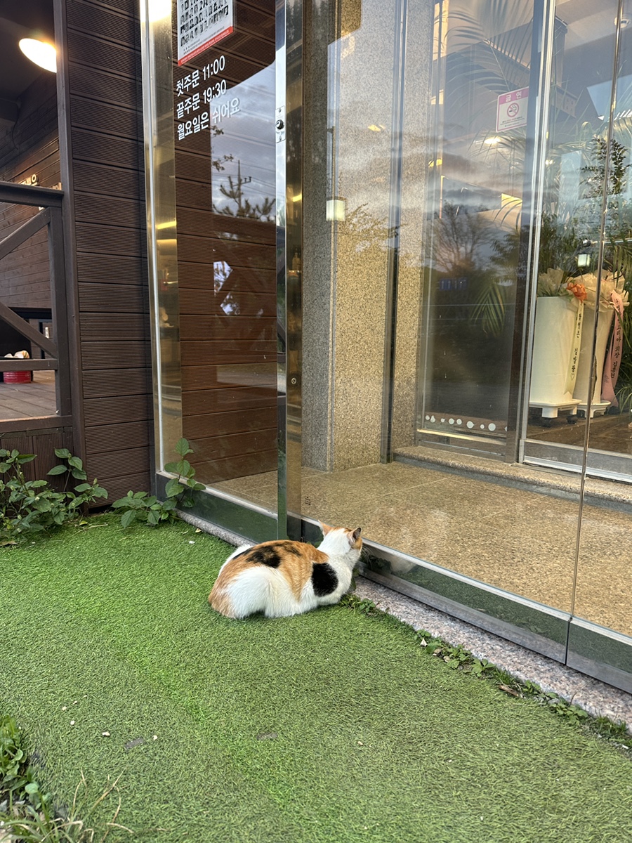 가창돌짜장 이미지