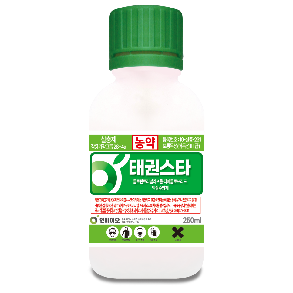 태권스타 이미지