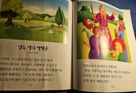 백합기독교서점 이미지
