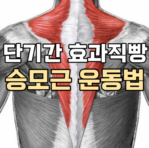 알앤디피티 이미지