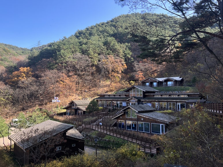 대관령 치유의 숲 이미지