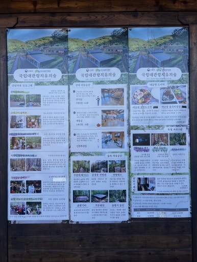 대관령 치유의 숲 이미지