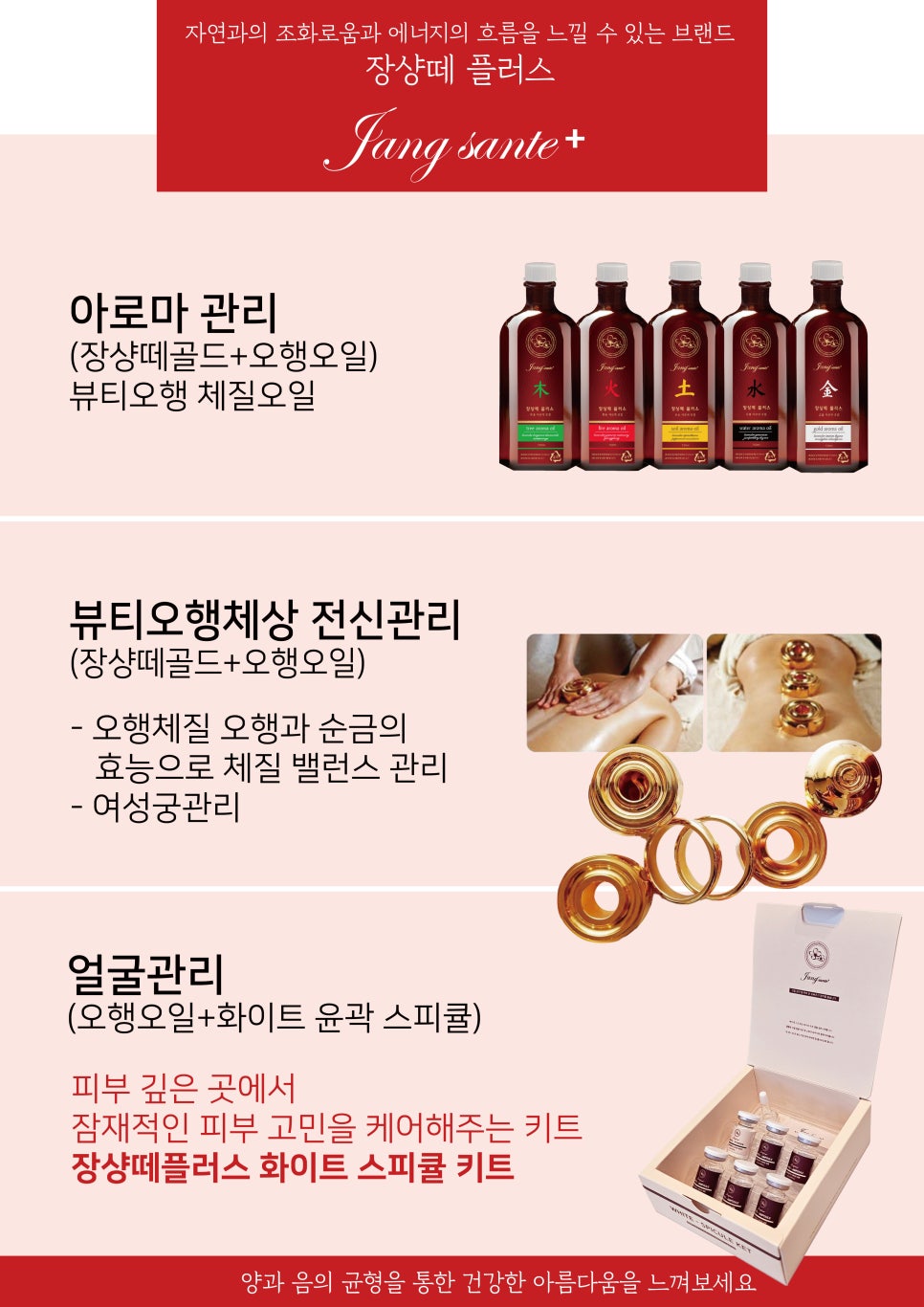 장샹떼플러스 이미지
