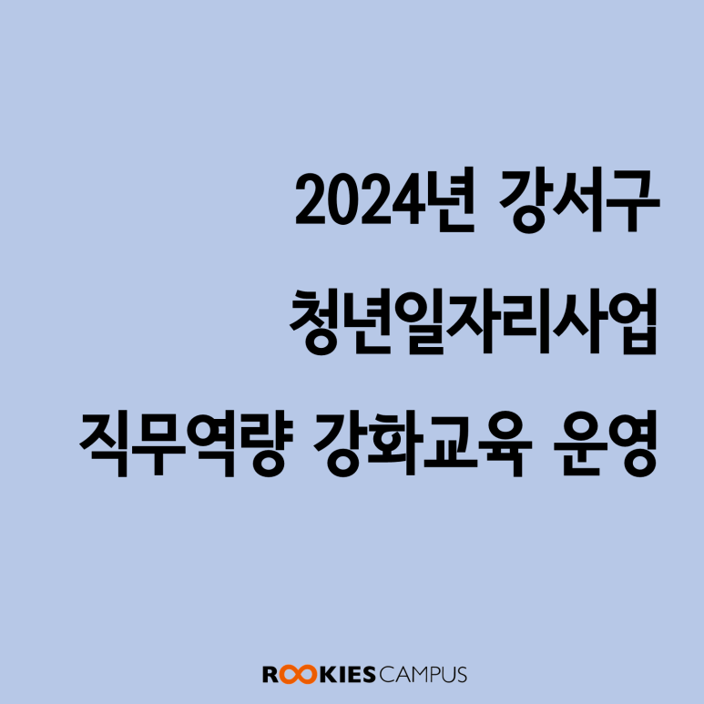 와이즈레인 이미지