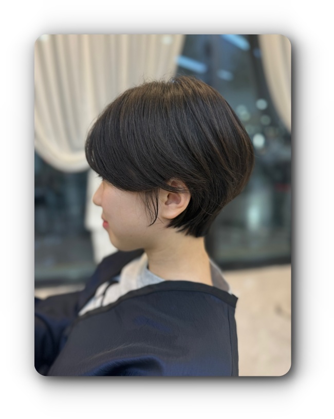 모엘헤어 이미지