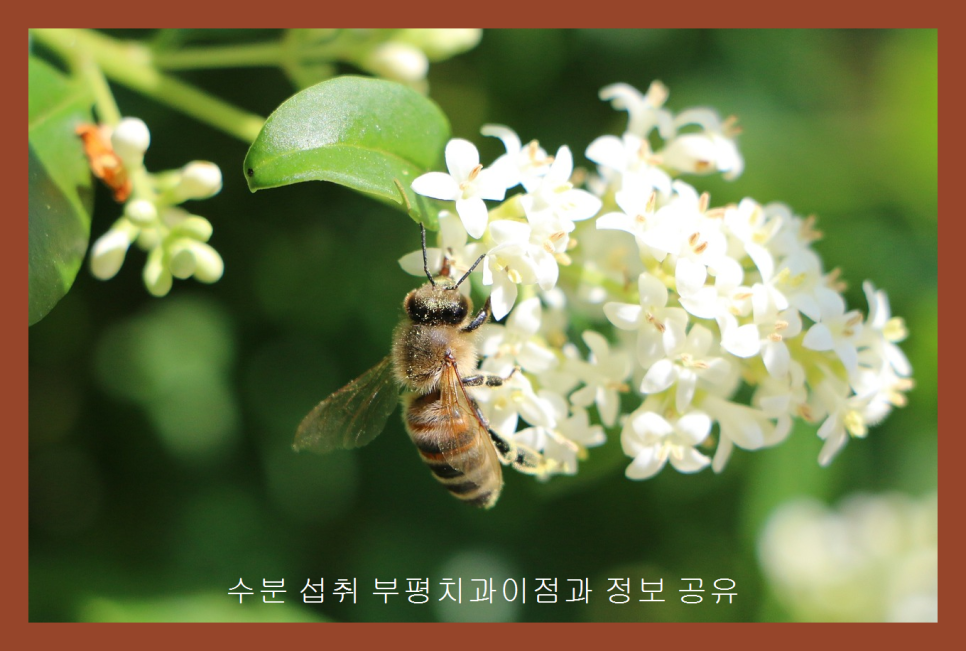 이로울치과 이미지