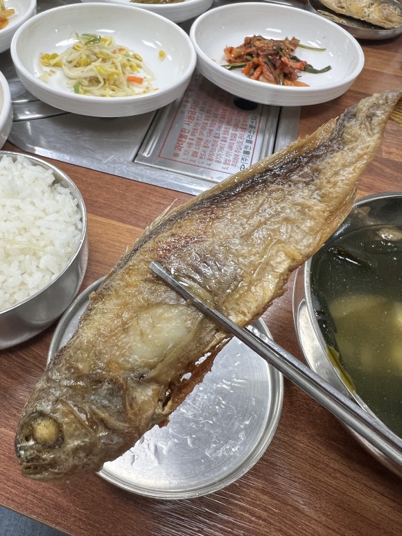 향우백반 이미지