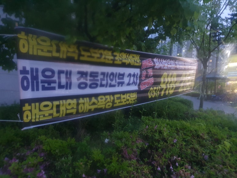 동해 현수막 디자인 이미지