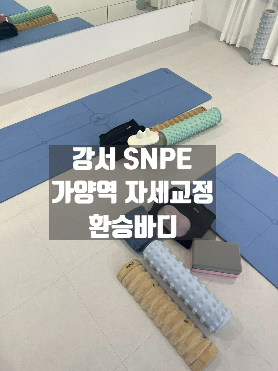 환승바디 이미지
