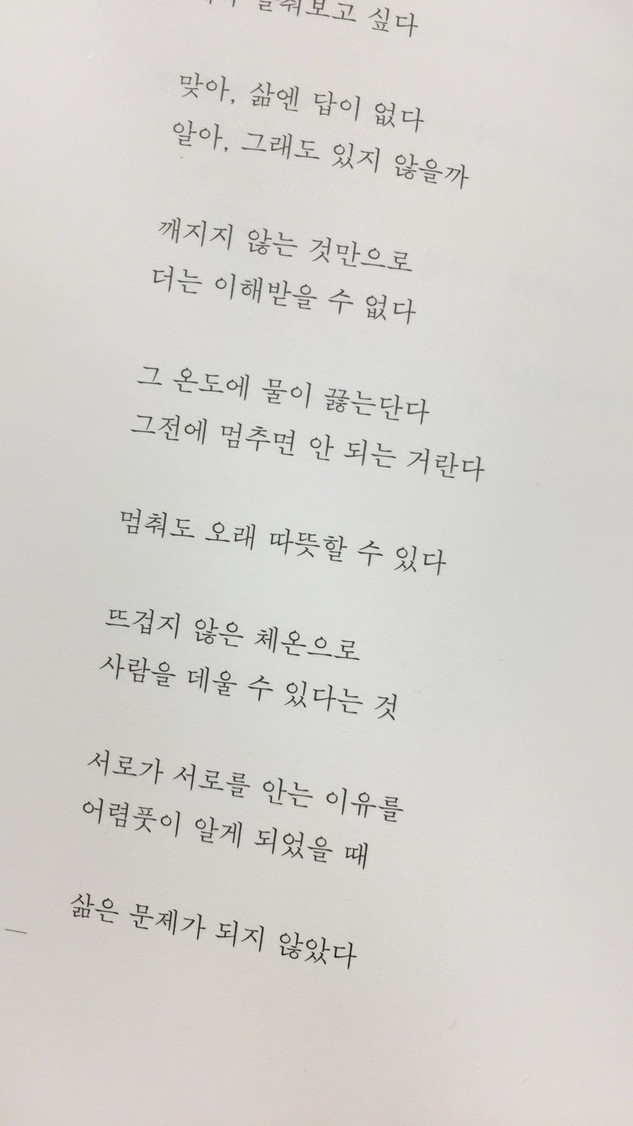 분홍고양이 이미지