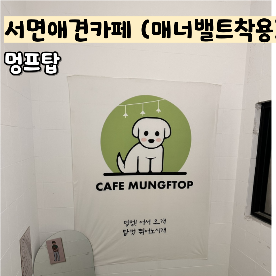 멍프탑 이미지
