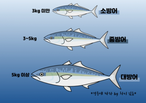 노화수산 이미지
