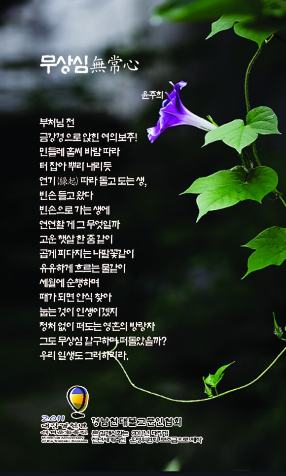 화풍난양 이미지