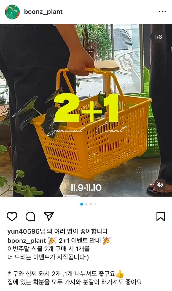 분즈 이미지