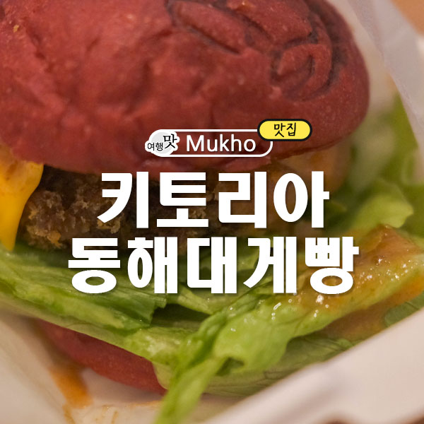 키토리아 이미지