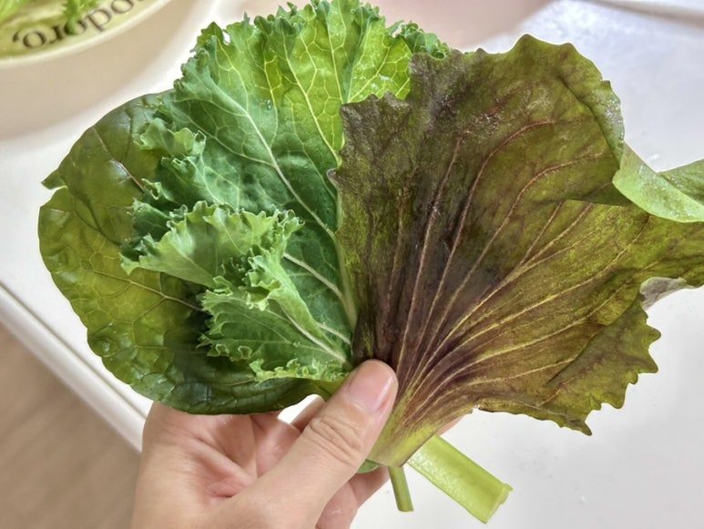 샐러드박스양주 이미지