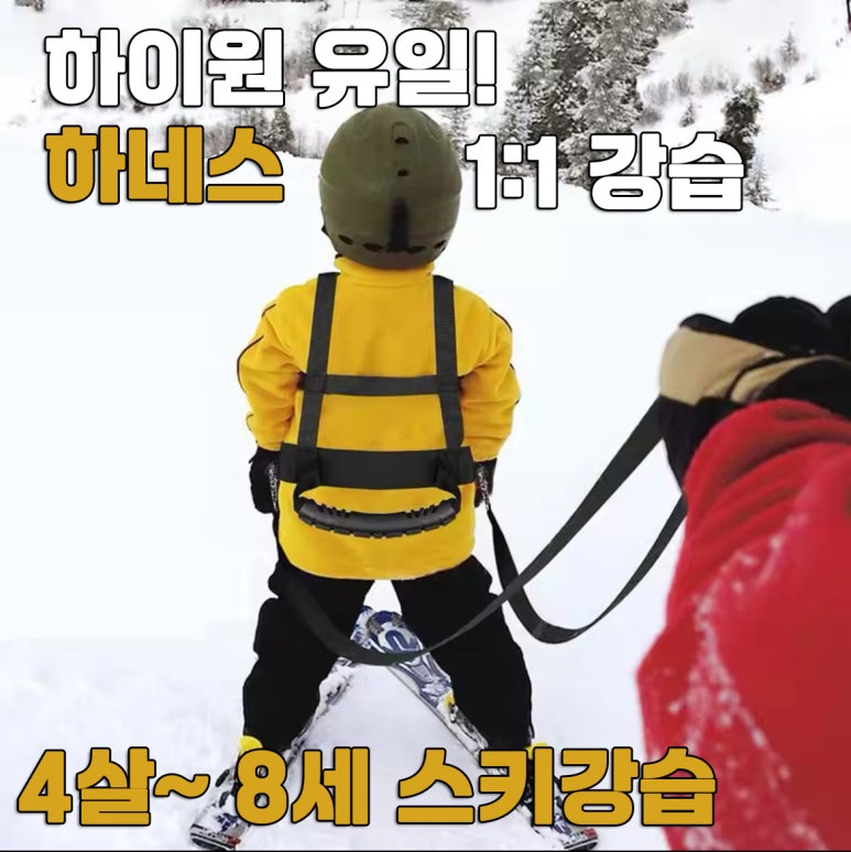 정선군스키협회 이미지