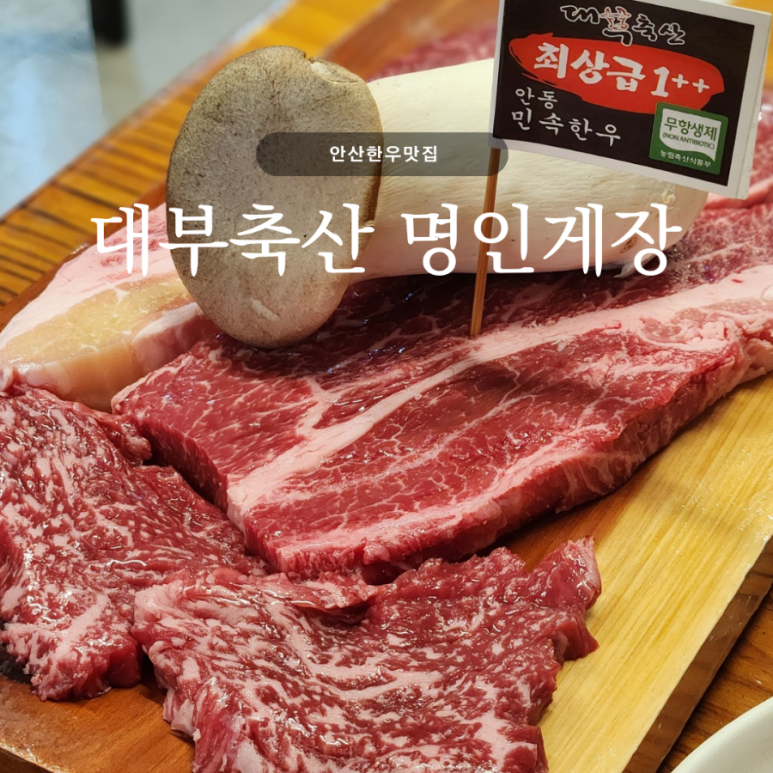 대부축산 이미지