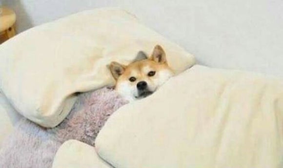 마스 이미지