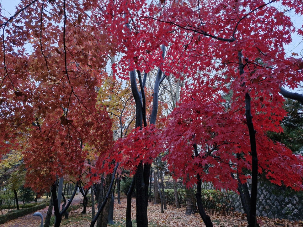 자매 사진 2