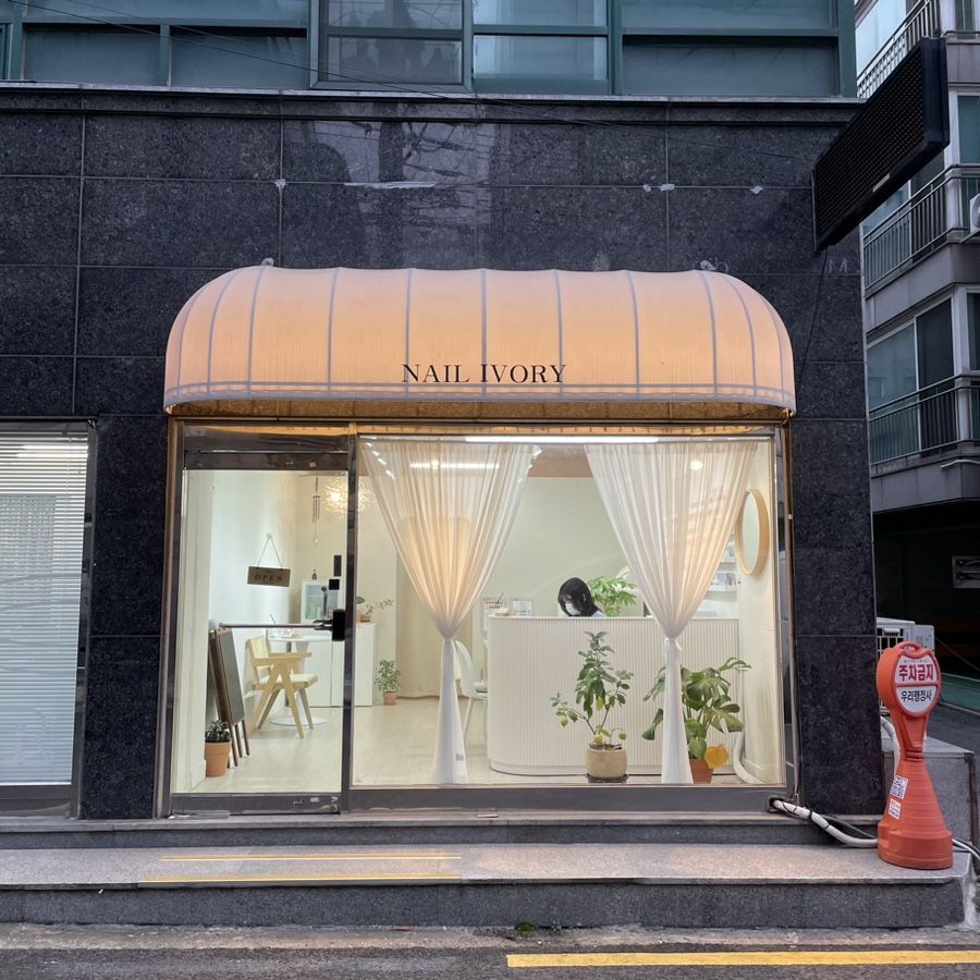 네일 아이보리(nail ivory) 이미지