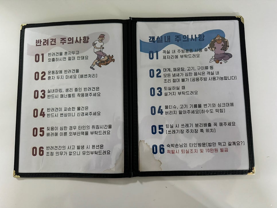 빈티지속초 이미지