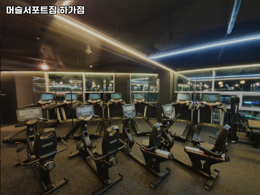 머슬서포트짐 이미지