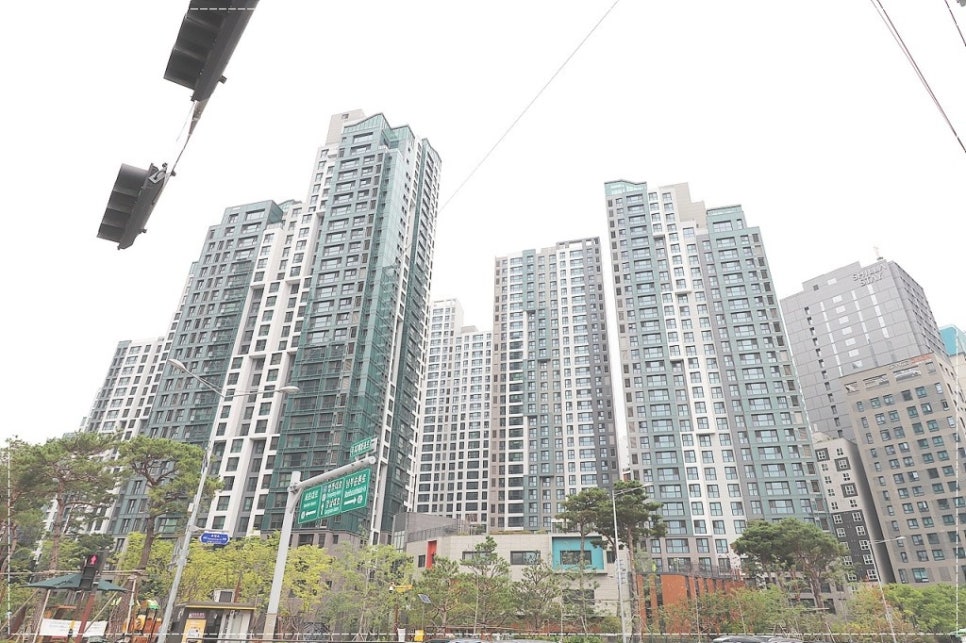 제일리더스 이미지