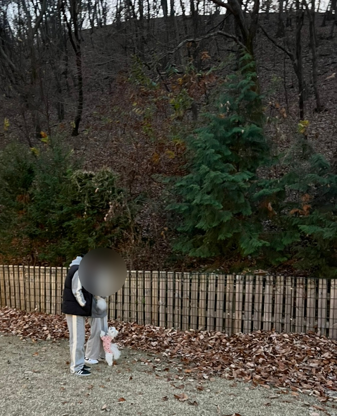 별똥구리 이미지
