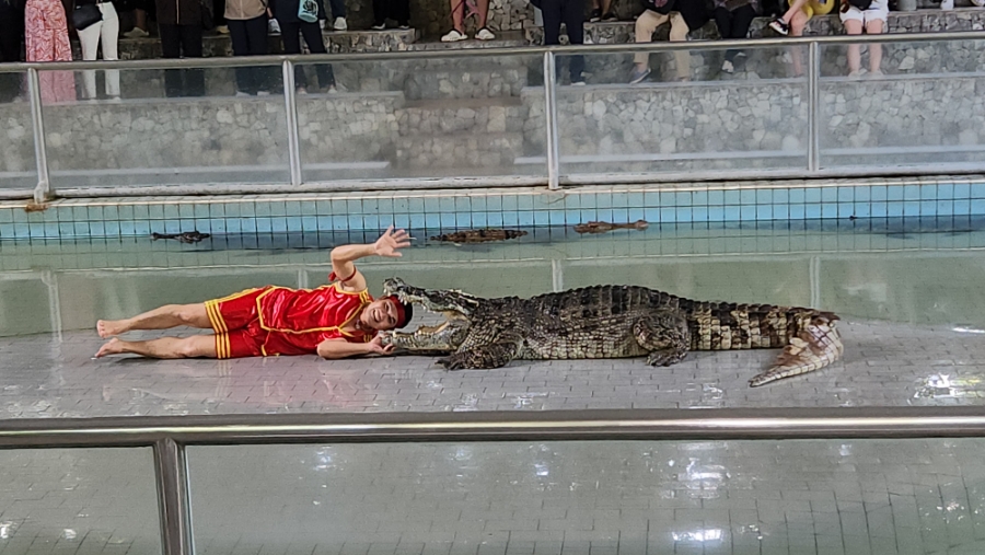 자이엔트 이미지
