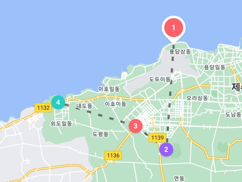 노형바다장어 이미지