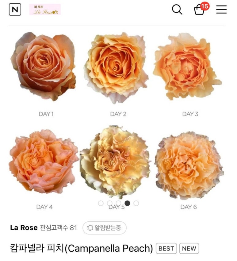 인챈트먼트 이미지