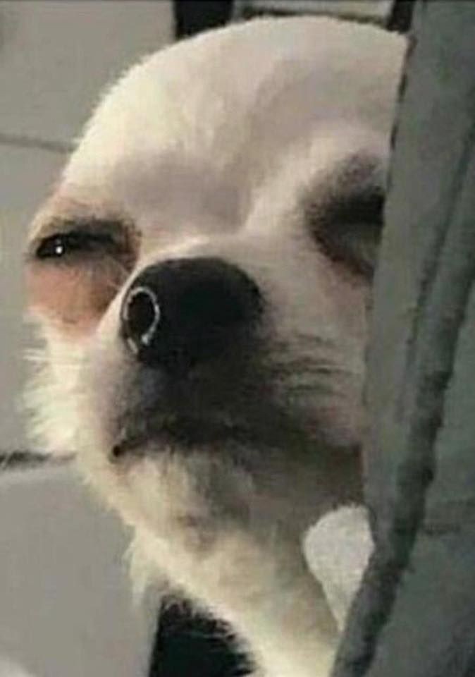 대게엔쿡 이미지