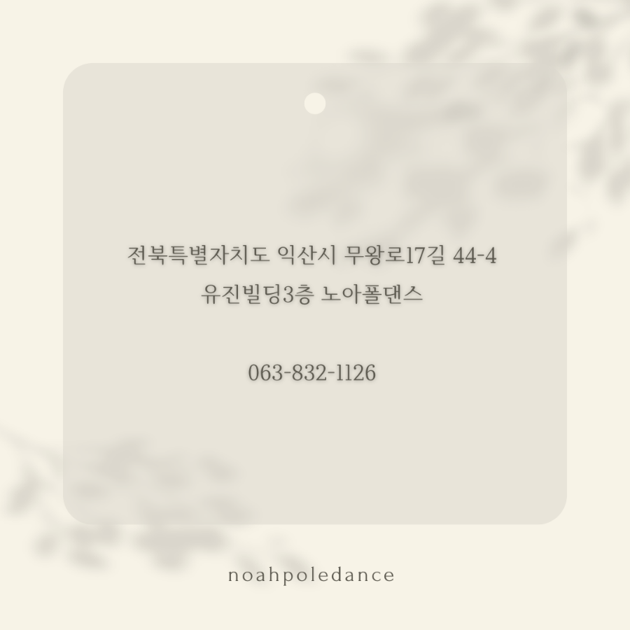 노아폴댄스 이미지