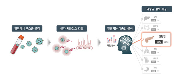 원리서치 이미지