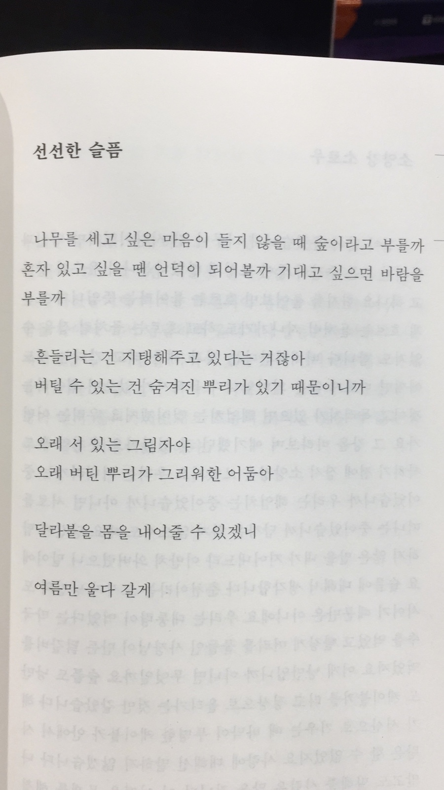 분홍고양이 이미지