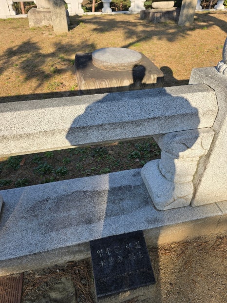 금성석물 이미지