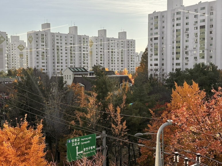 제이미휘트니스 이미지