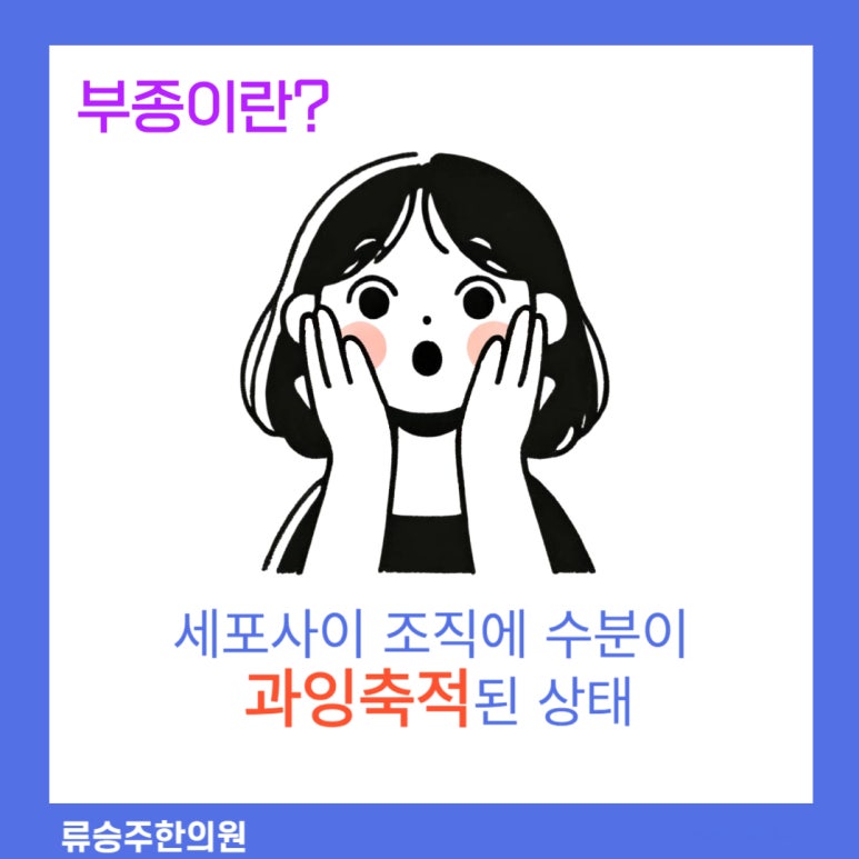 센텀비비의원 이미지
