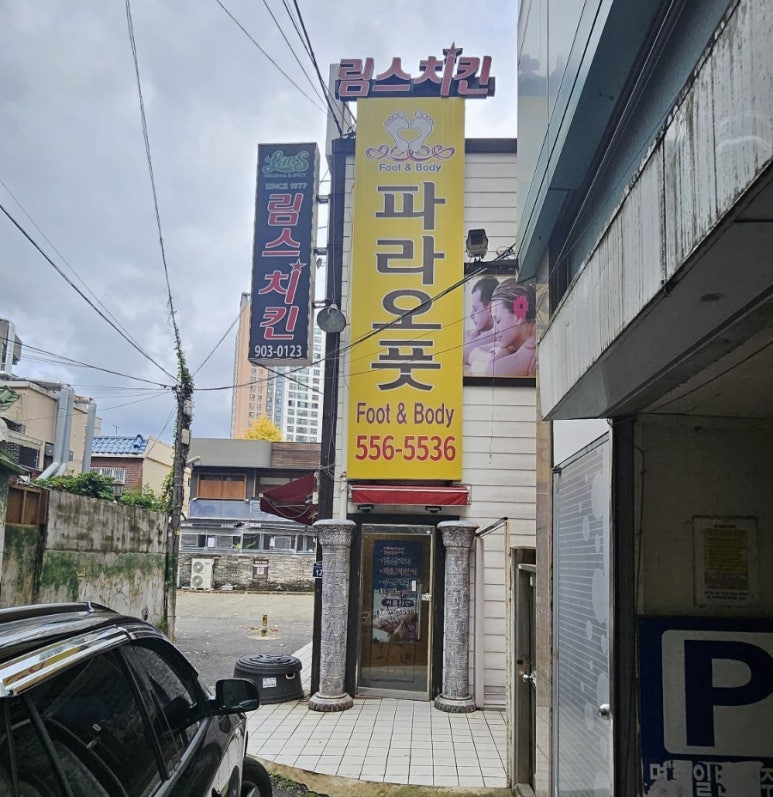 파라오풋 이미지