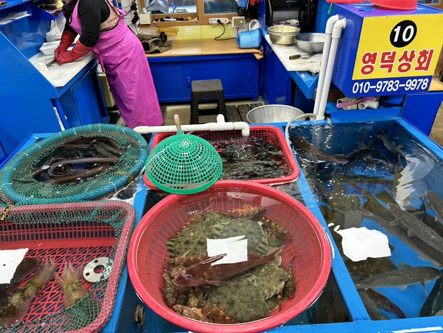 영덕상회 이미지