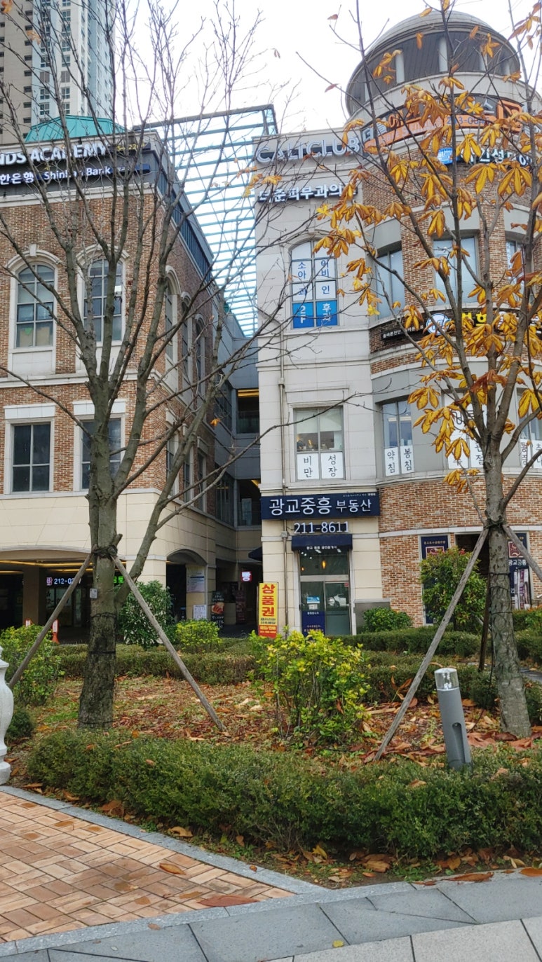 범브레드 이미지