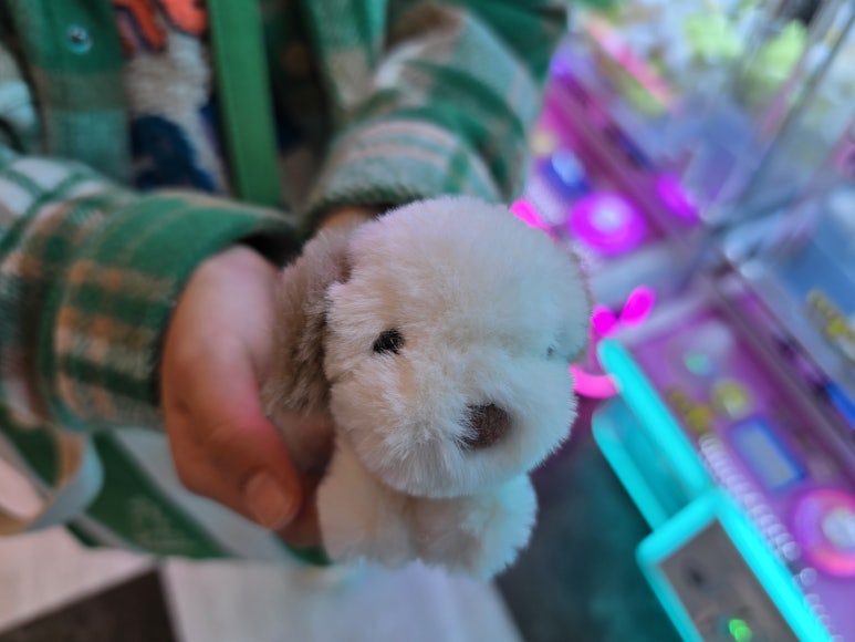 대빵인형뽑기 이미지
